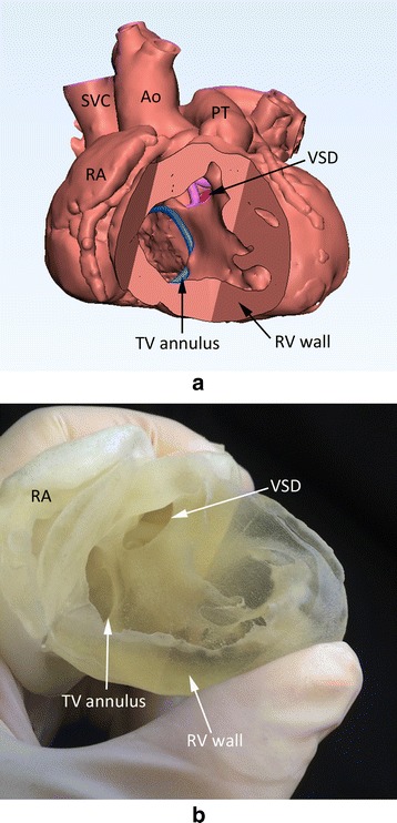 Fig. 5