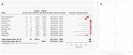 Forest plot showing proportionate success rates of Nd:YAG laser treatment for premacular hemorrhage due to Valsalva retinopathy, based on total events, weighted outcomes, and 95% confidence intervals; funnel plot visualizing potential publication bias.