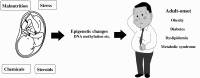 Fig. 1
