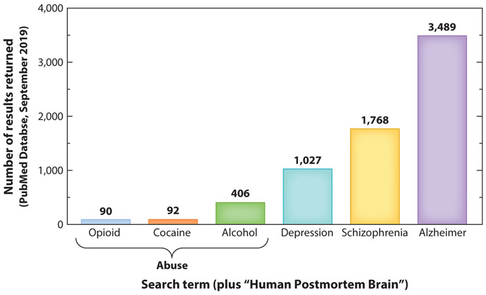 Endogenous Opioids at the Intersection of Opioid Addiction, Pain, and ...