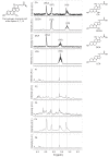 Figure 2—figure supplement 1.
