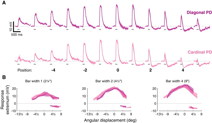 Figure 2—figure supplement 1.