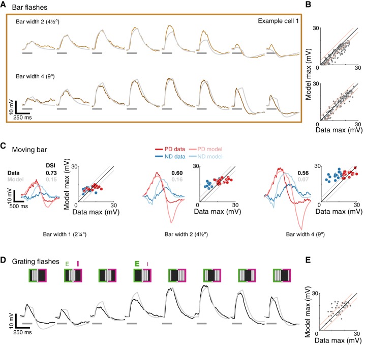 Figure 6—figure supplement 1.