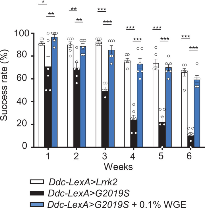 Figure 5—figure supplement 2.