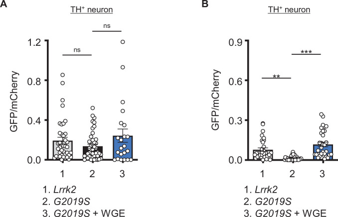 Figure 6—figure supplement 2.