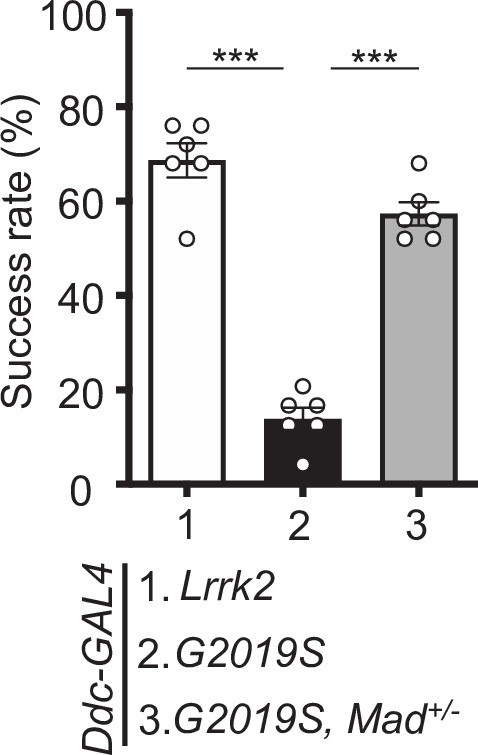 Figure 7—figure supplement 1.