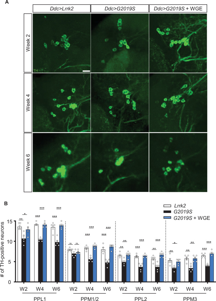 Figure 2.