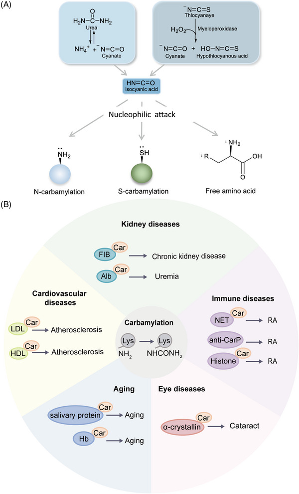 FIGURE 22