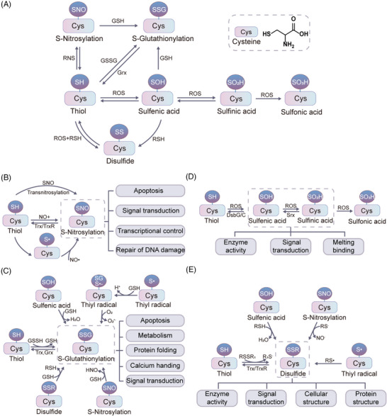 FIGURE 23