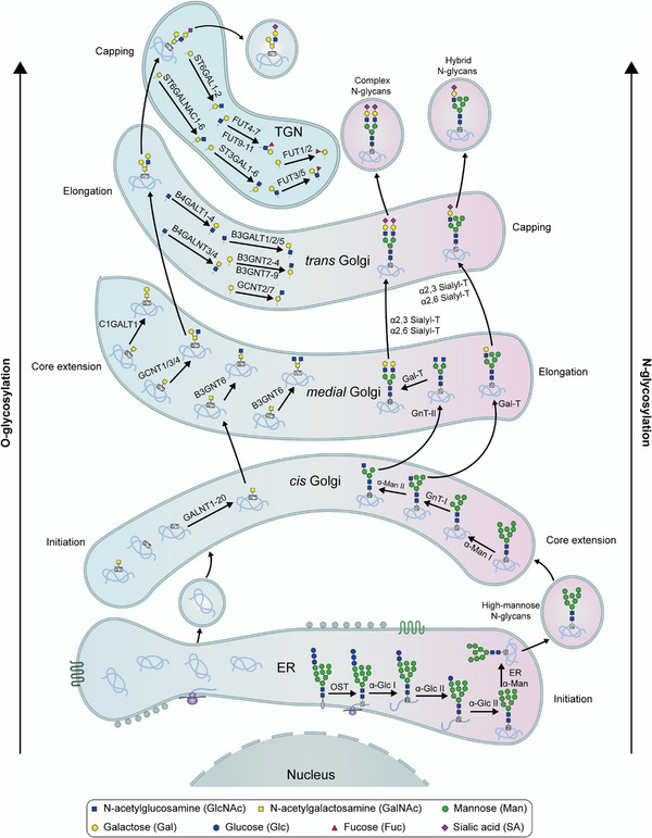 FIGURE 18