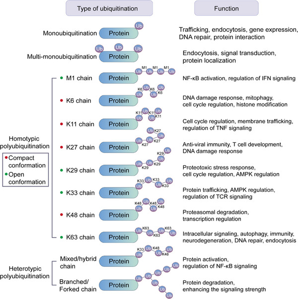 FIGURE 16