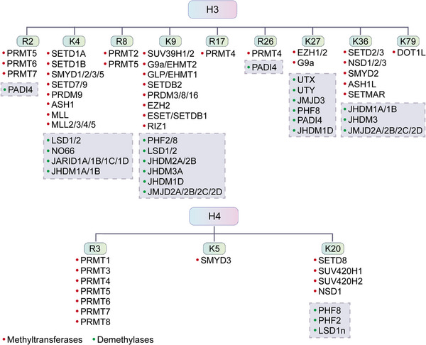 FIGURE 13