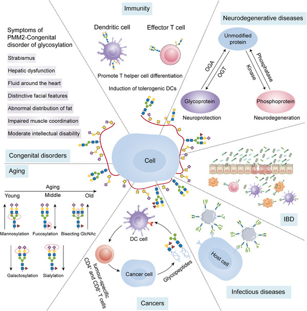 FIGURE 19