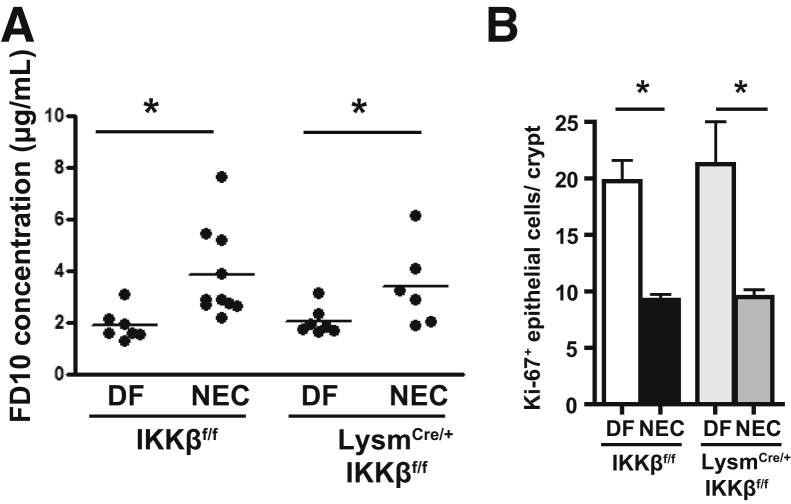 Figure 6