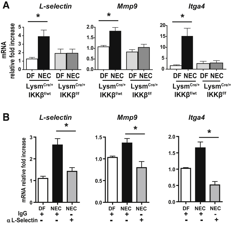 Figure 4