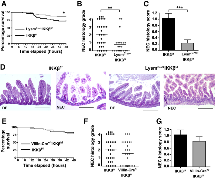 Figure 7