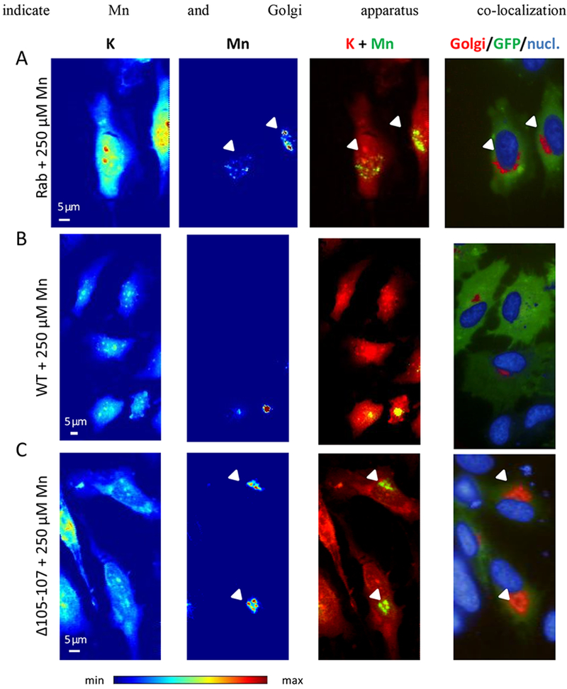 Figure 4.