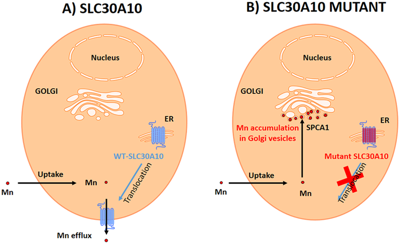 Figure 9.