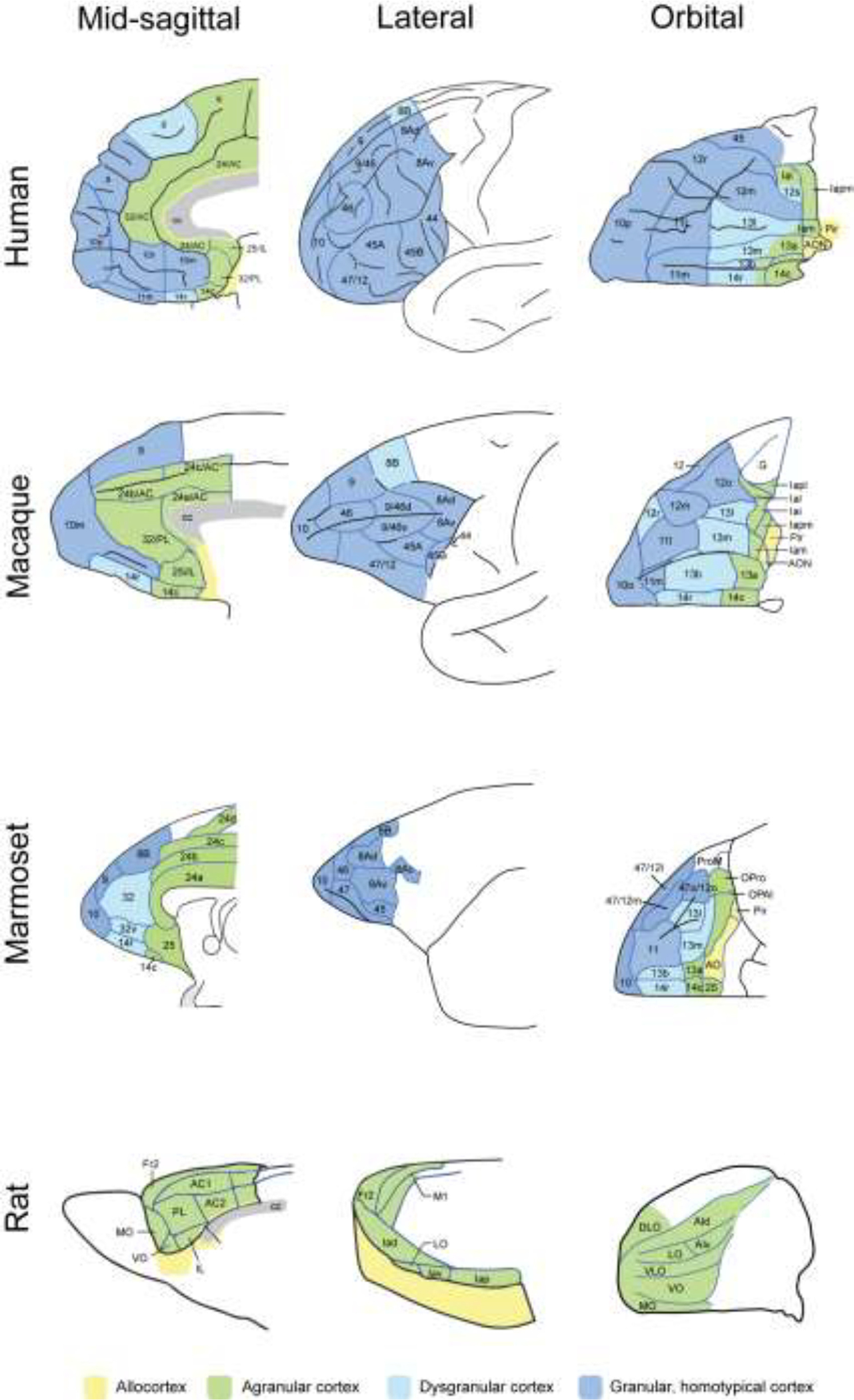 Figure 1-