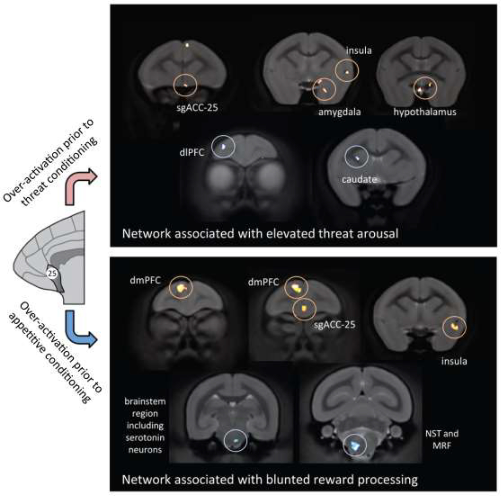 Figure 4-