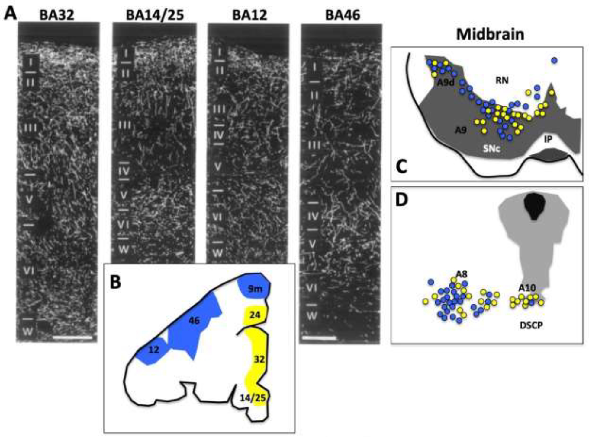 Figure 6-