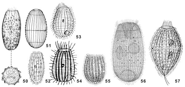 Fig. 50–57