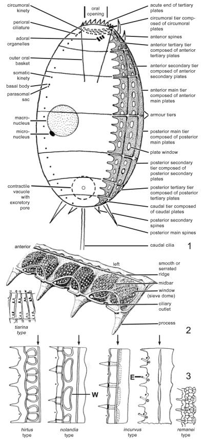 Fig. 1–3