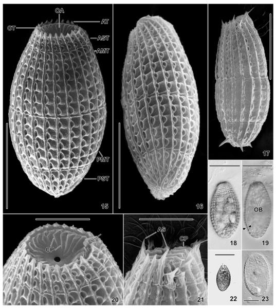 Fig. 15–23