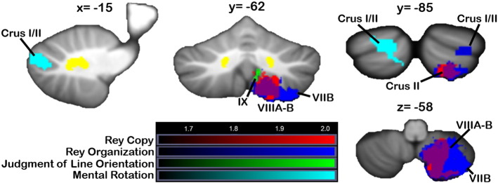 Fig. 7