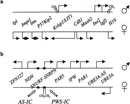 Figure  1 