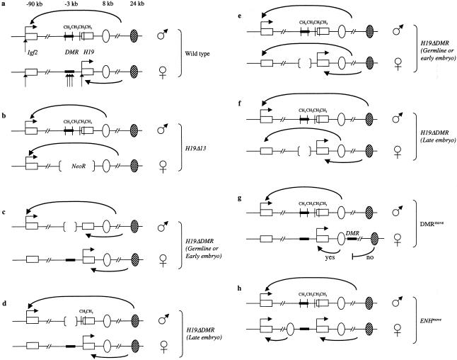 Figure  2 