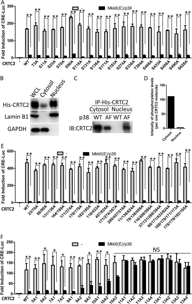 FIG 6