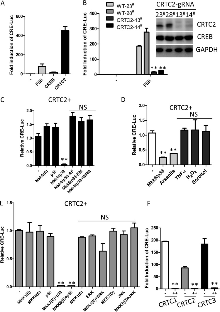 FIG 4