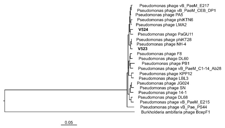 Figure 5