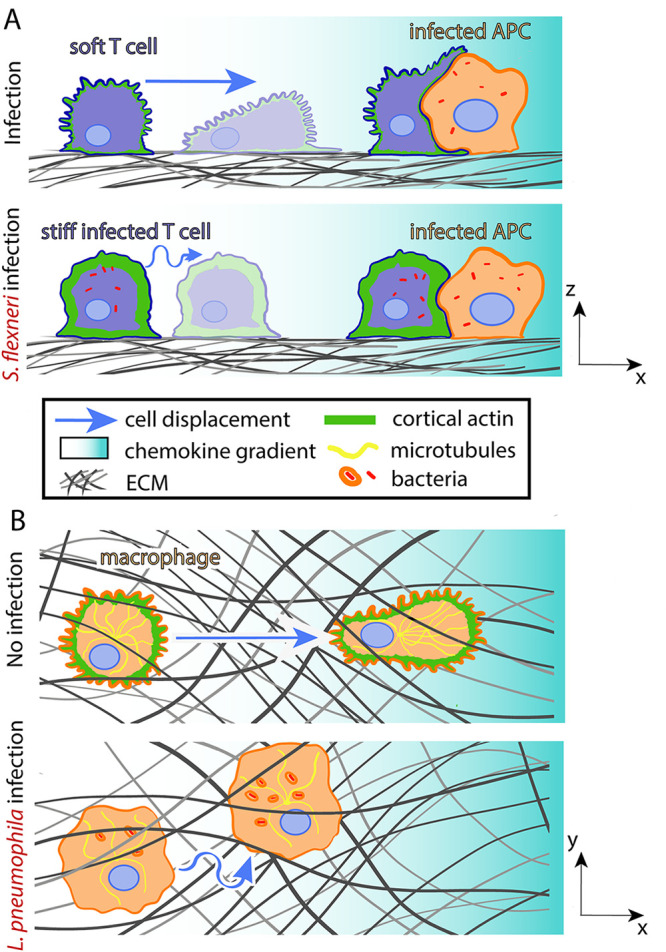 FIG 4