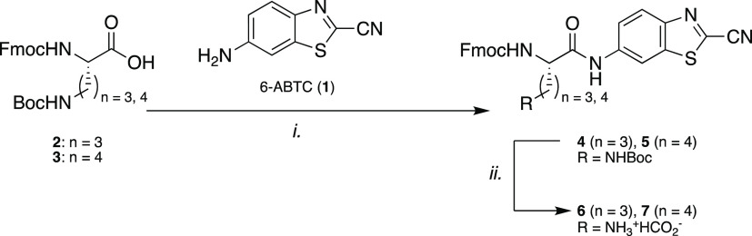 Scheme 2