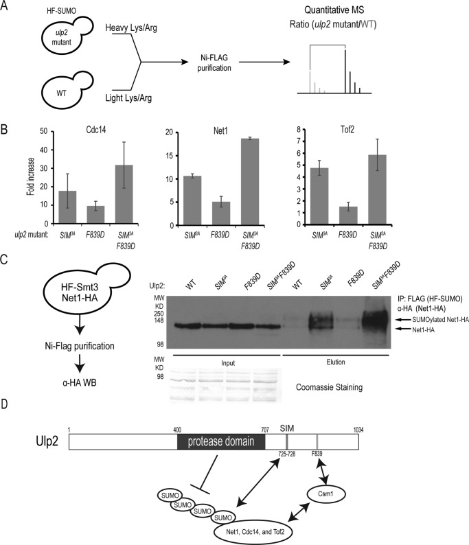 Figure 6.