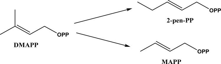 Fig. 44