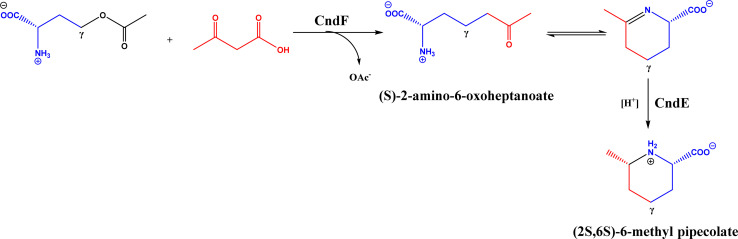 Fig. 79