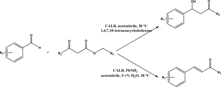 Fig. 18