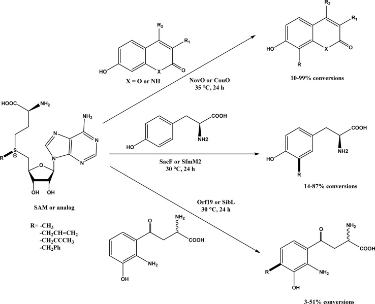 Fig. 43