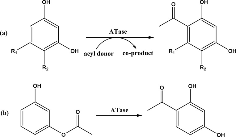 Fig. 50