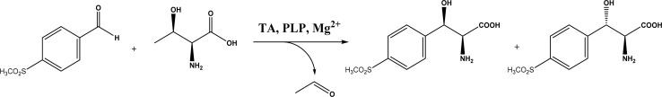 Fig. 9