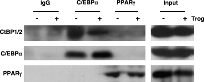 FIG. 7.