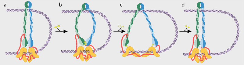 Figure 2: