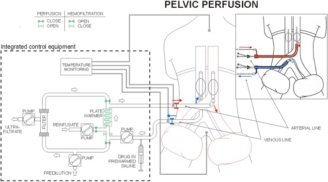 Fig. 1