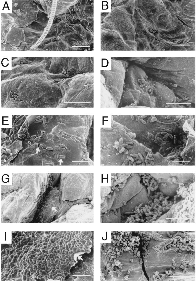 FIG. 8