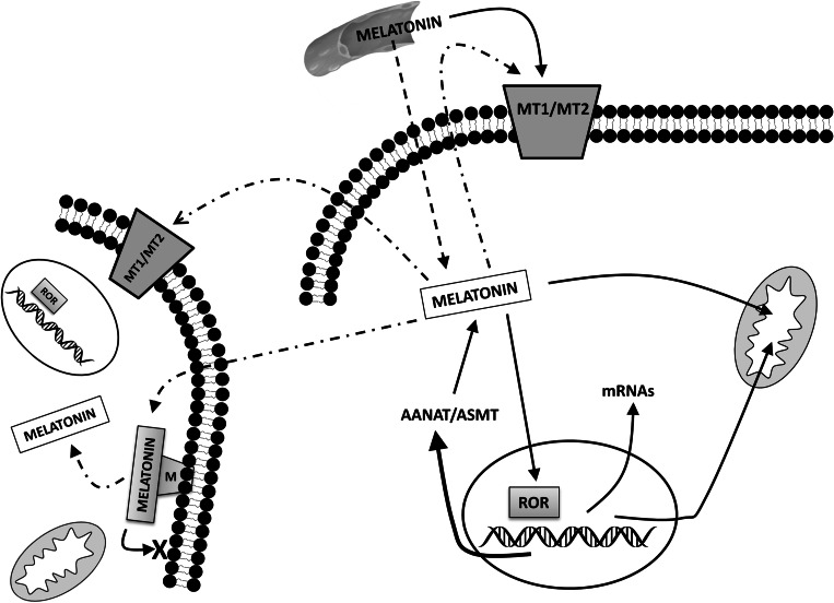 Fig. 3