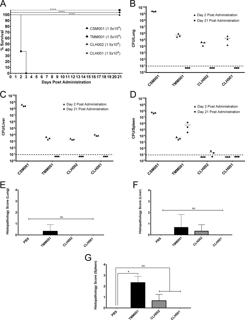 FIG 1