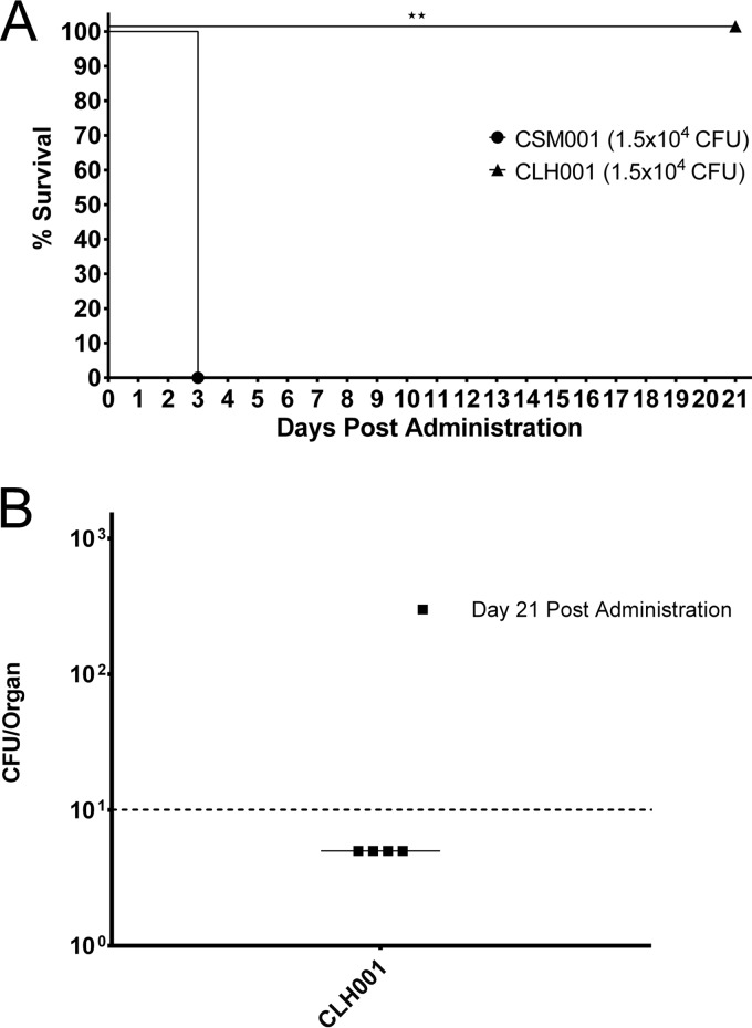 FIG 3